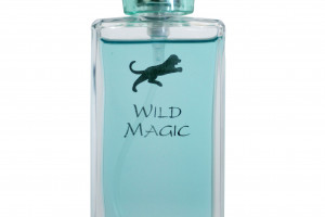 Wild Magic 2